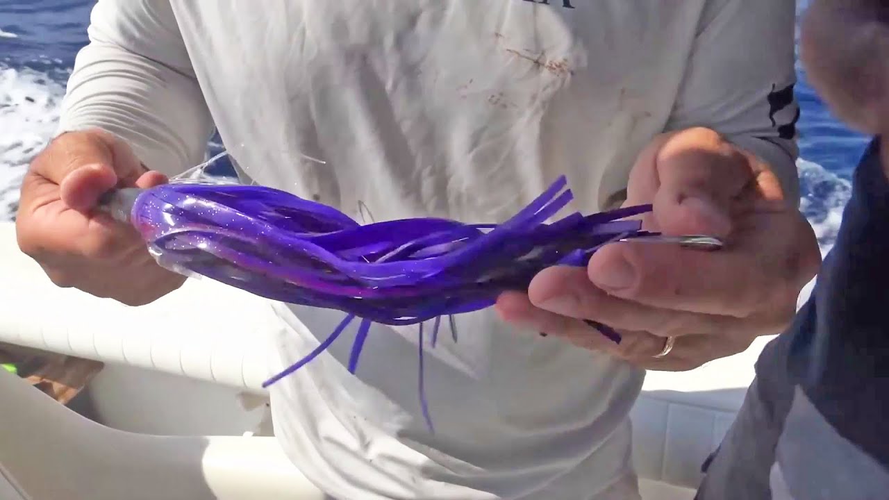 Qui come si fa - Traina d'Altura in Cilento (Italcanna)