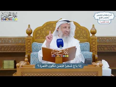 3303 - إذا باع شجراً فلِمَن تكون الثمرة؟ - عثمان الخميس