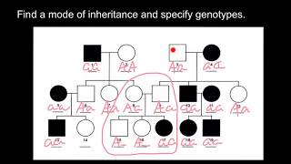 How to Find the Mode of Inheritance