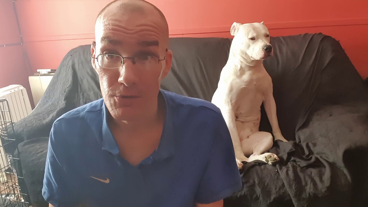 Graded Green - Birthday Cake Kush CBD Flower Review