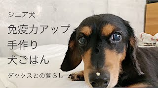 がん予防、免疫力を上げる手作り犬ごはん