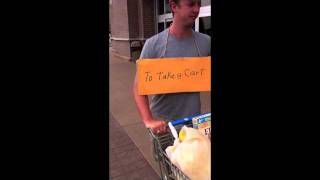 Walmart Smart Cart   Large
