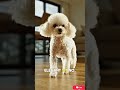 These Tiny Dogs Look Unreal 😳#smallestdogs #dogbreeds #animals #