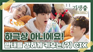 (sub) [FULL] CIX 기생충 챌린지 더블업 Ep. 1