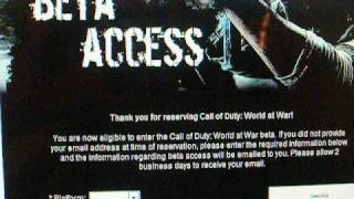 How To Get The Call Of Duty: World At War BETA
