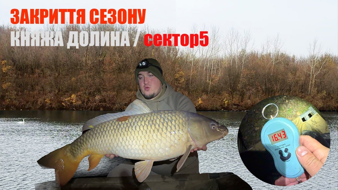 Ловля Трофейного Коропа Осінню! Княжа Долина / Червоний Прапор/ Ловля Коропа по Холодній Воді !