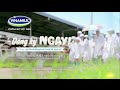 Vinamilk Advertisement Visiting A Dairy Farm In Nghe An 