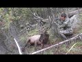 Real Public Land Elk Hunt "The Punisher"