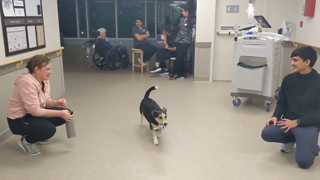 2025 Nov 30 AR Goudie People Care nursing home, Kitchener 