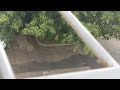 Мы заболели!😭 Пожар!!🧑🚒🧑🚒!!!! Горим!!!👷👷Сваха.🤗Слон в ювелирной лавке.😂😂😂😂😂😂