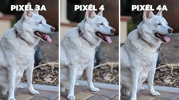 Pixel 3a vs Pixel 4 vs Pixel 4a Camera Comparison