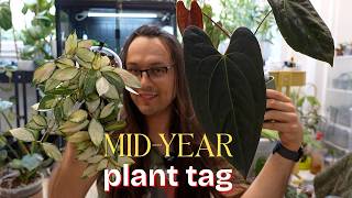 mid year plant tag 🪴 successes and failures of 2026 + VERY hot takes 🙈