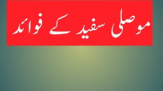 Mosli Sufaid Kay Faidy