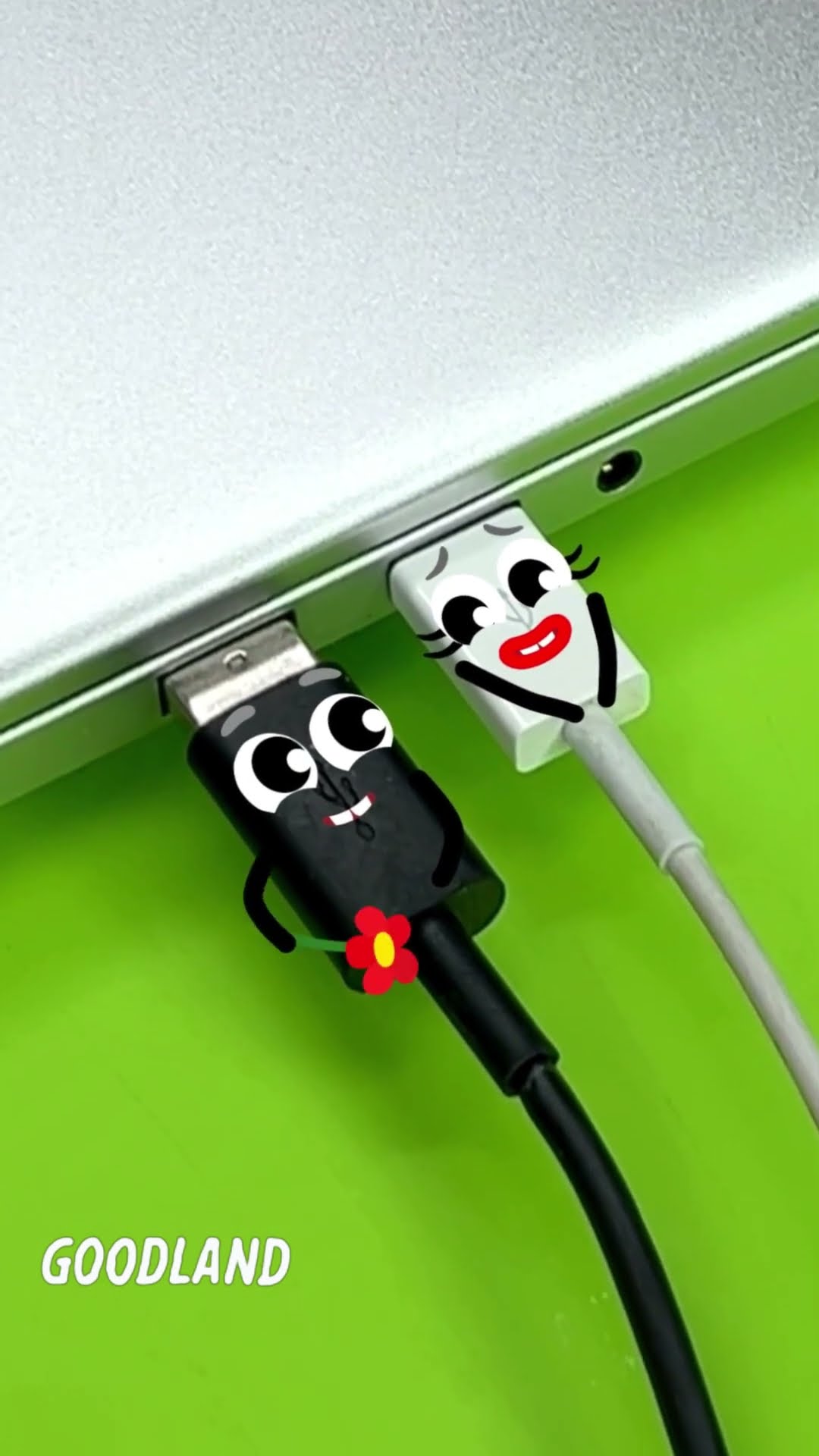 We Tested 2 Flash Drives with Flowers Here's the Winner