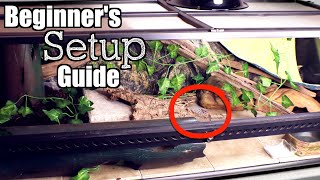 Leopard Gecko Setup 2020  Beginner's Setup Guide