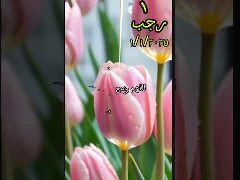 دعاء اول يوم من شهر رجب دعاء اول ايام شهر رجب شهر رجب