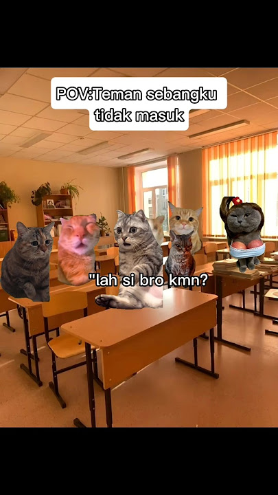 POV : Teman sebangku sekolah Tidak masuk .#meme #kucing #hiburan #fyp
