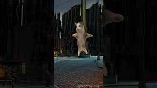 Half-Life 2 Cats meme compilation #halflife #funny #cat