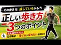 【その歩き方、損しているかも?!】使える身体の歩き方