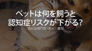 ペットは何を飼うと認知症リスクが下がる？〜認知症専門医・長谷川嘉哉