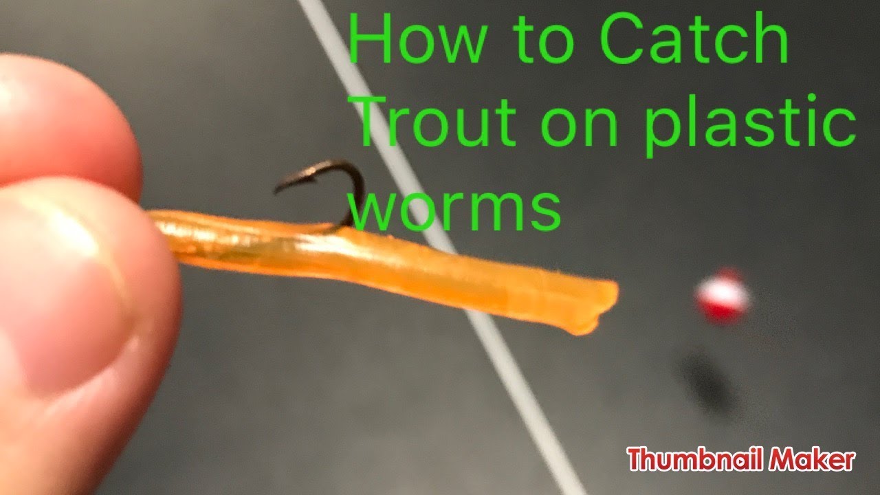 How to Catch Trout on Plastic Worms 