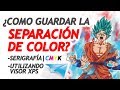 ¿COMO GUARDAR LA SEPARACIÓN DE COLOR? - Utilizando Visor XPS