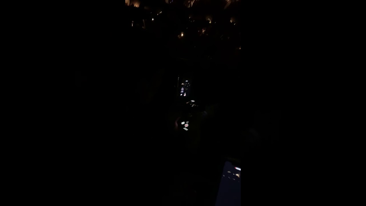 Ariana Grande SWT Brooklyn Night 3 Tattooed Heart