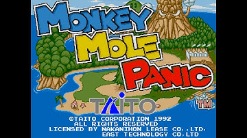 Monkey Mole Panic Arcade