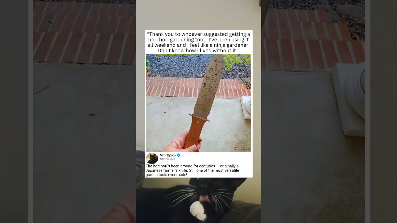 The Gardening Tool That Changed My Life