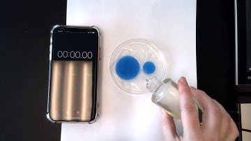 Cell size and shape Lab Part 1