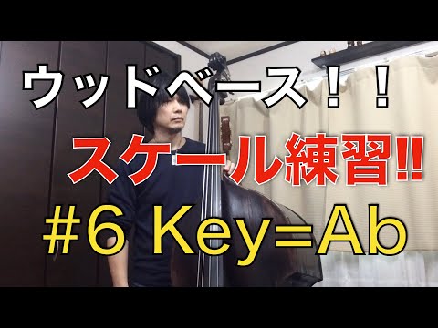 【ウッドベース】Lesson No.6 初心者用基礎練習 『Abメジャースケール＆Abブルース』