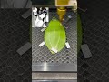 Watch How a Machine Etches a Face on a Leaf You Won’t Believe This Art Is on a Real Leaf