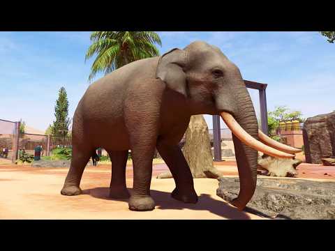 Planet Zoo 2 - Asian Elephant Gameplay (PS5 UHD) [4K30FPS]