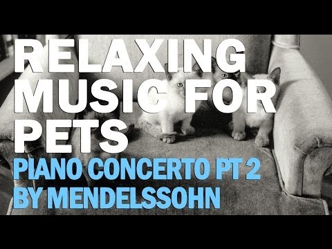 Relaxing Classical Music