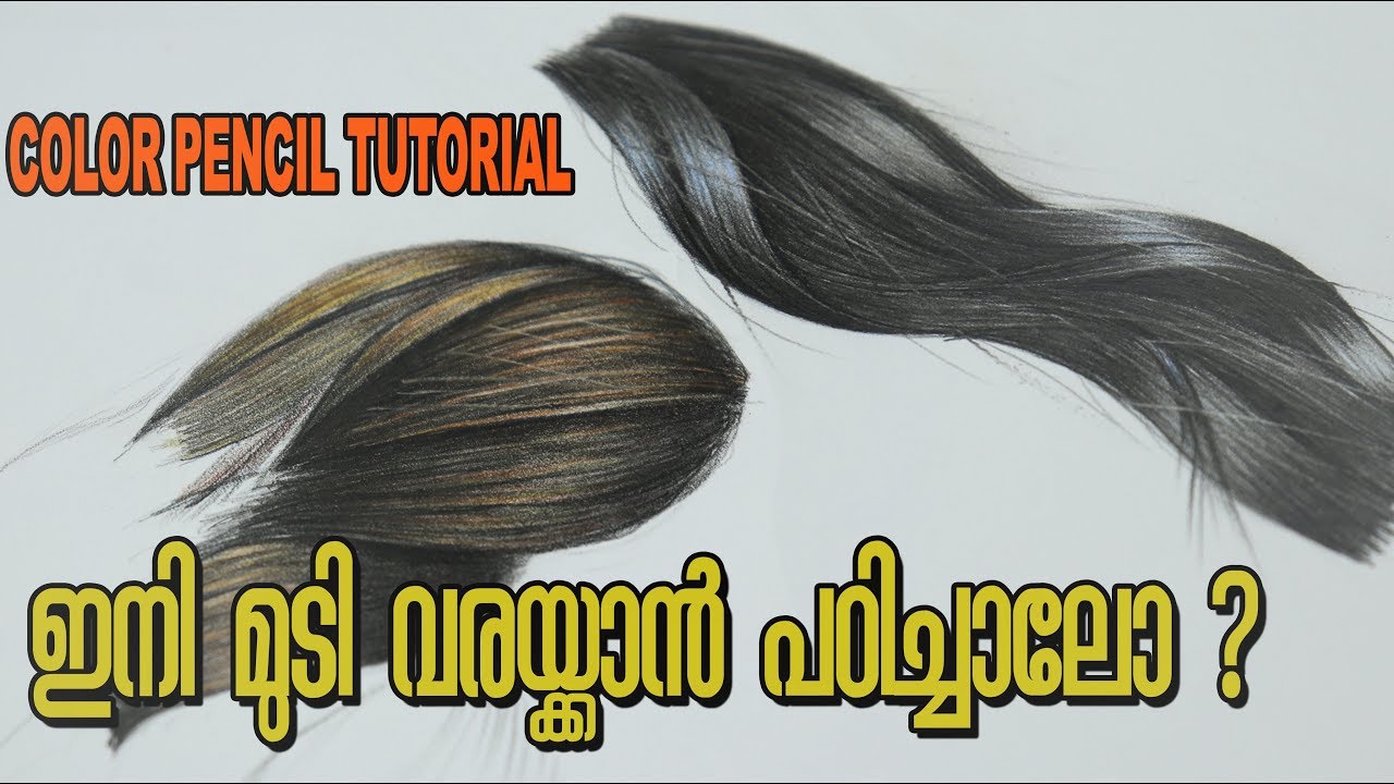 HOW TO DRAW HAIR IN COLOURED PENCIL MALAYALAM TUTORIAL YouTube