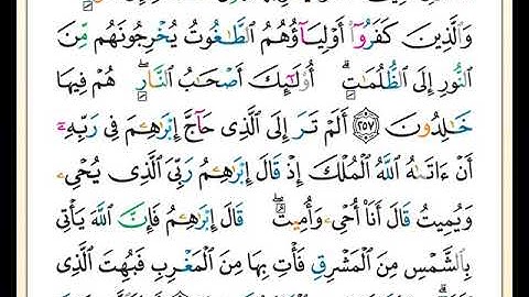 ختمة مصحف التجويد برواية حفص بصوت القارئ محمد حبش الصفحة رقم  43