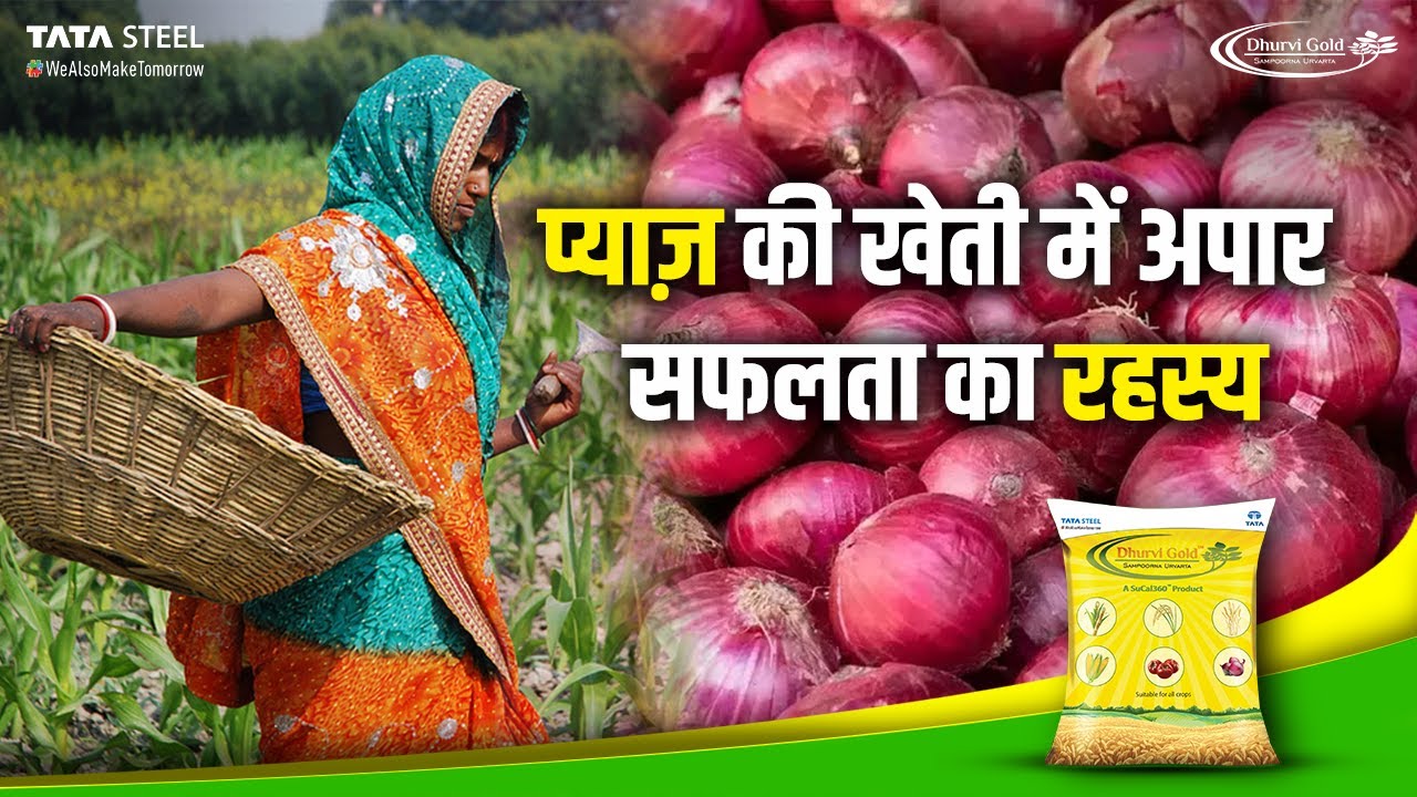 बढ़ानी हो प्याज़ की उपज और कमाई , तो Tata Steel ke Dhurvi Gold से करे बुवाई | Onion farming |