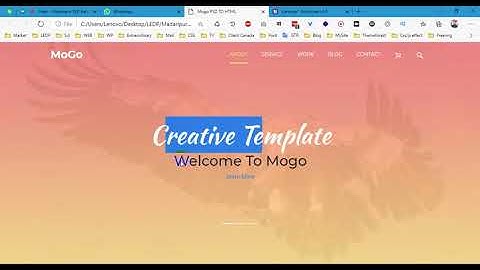 Madaripur Web Design & Development Class #16 LEDP 2020