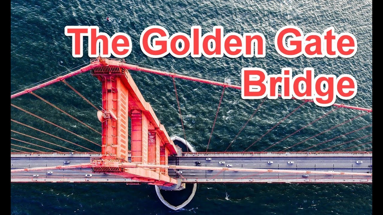 fun bridge facts fun bridge facts