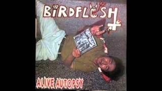 Birdflesh - Loser of the Universe