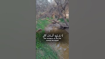 قرآن كريم  _تلاوة خاشعة #قران_كريم #تلاوة_خاشعة #راحة_نفسية #ترند  #trending #explore #tiktok