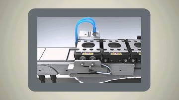 Individualization to batch size 1