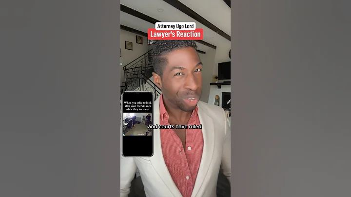 Man offers to watch his friend’s cat as a favor. Epic fail! Who’s liable? Attorney Ugo Lord reacts!￼