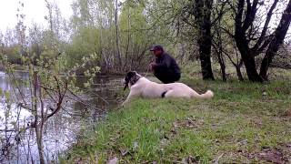 WP 20140506 002