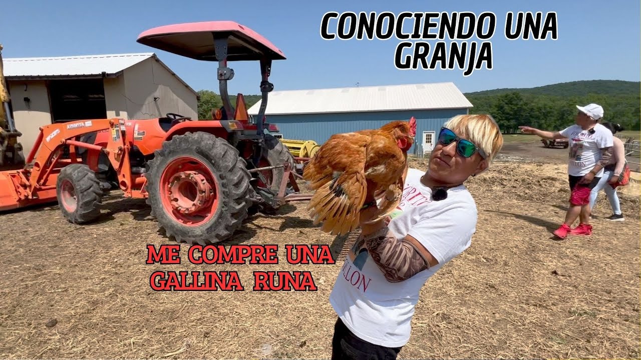 Activado Conociendo  una Granja.
