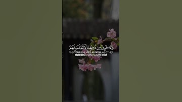 تلاوه خاشعه للشيخ محمد اللحيدان ♥️🎧#محمد_اللحيدان#تلاوة_خاشعة #اكسبلور#اكسبلورهاشتاقات#quran #تلاوات