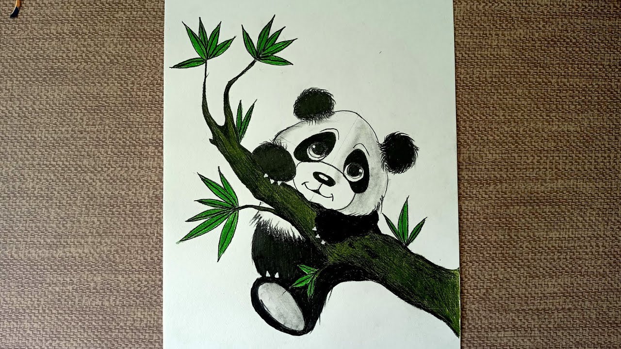 Cute Drawing Of Panda Images | Free Photos, PNG Stickers, Wallpapers &  Backgrounds - rawpixel