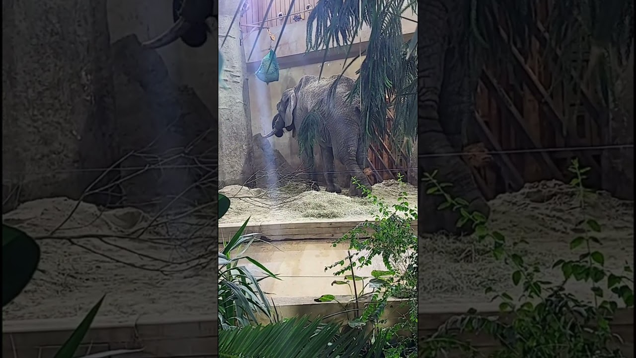 #Варшавский