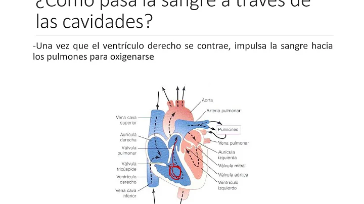 REHABILITACIN CARDIACA #1