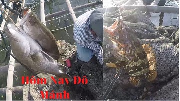 5/ Tập3: Hành trình săn cá chẽm (vược) thiên nhiên : Nay dô mánh/ Mắm Tép TV